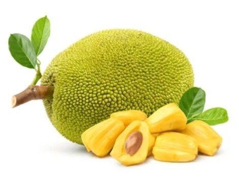 Freeze-Dried Jackfruit Powder