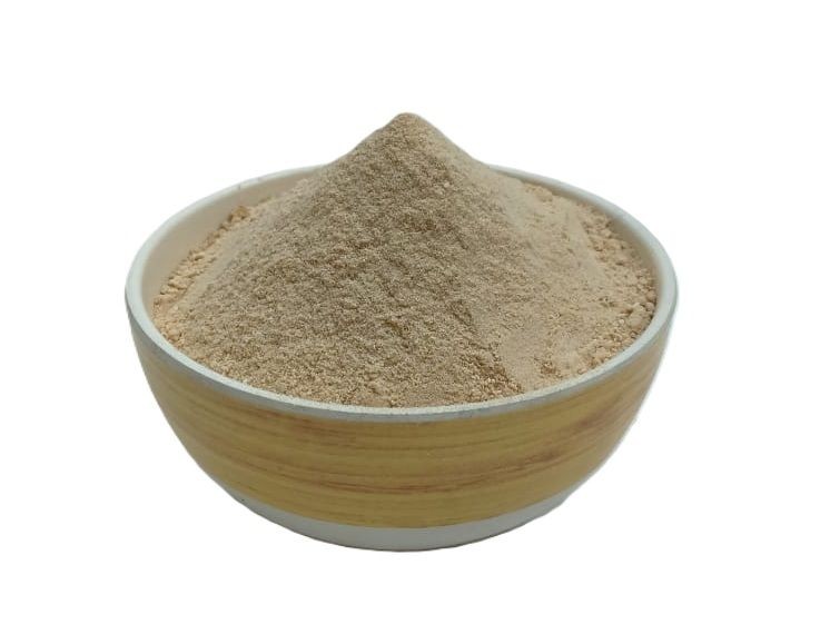 Freeze-Dried Chikoo Powder (Sapota/Sapodilla)