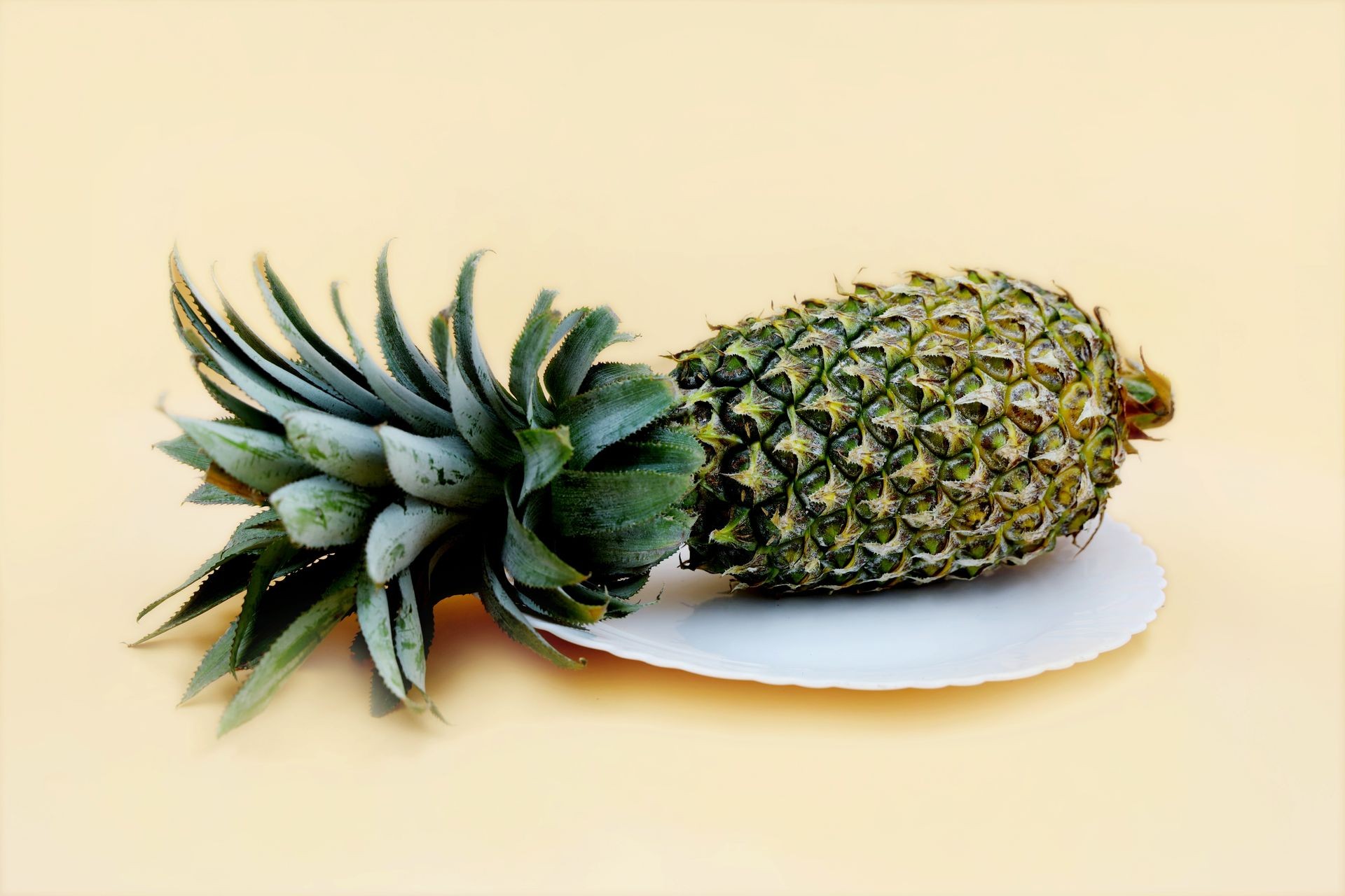 Freeze-Dried Pineapple Powder